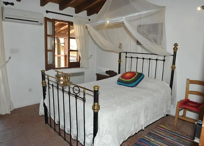 Zangoulos カコペトリア